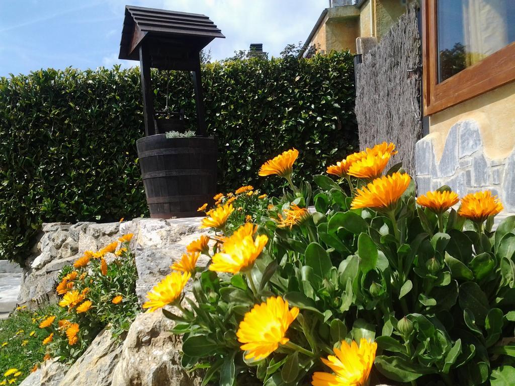Apartament Els Ocells *