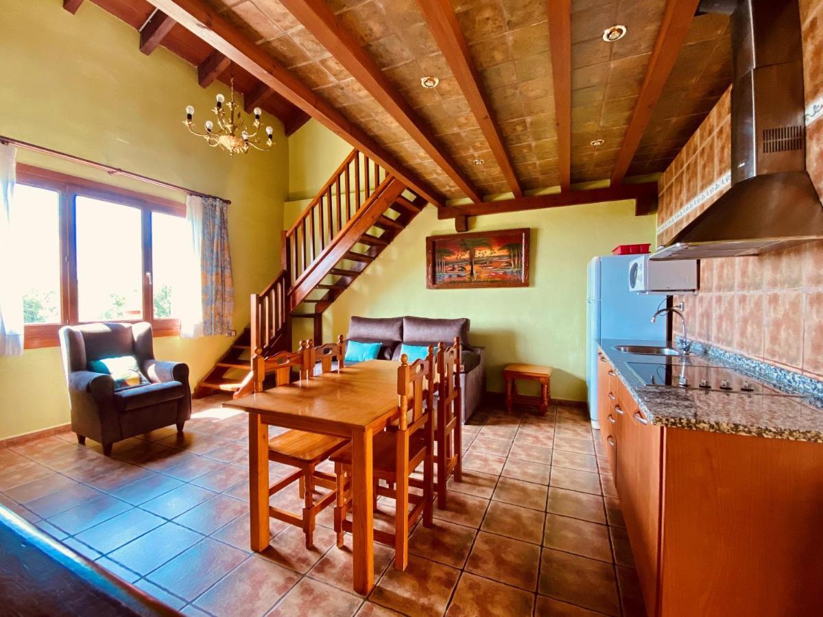Els Ocells Apartament Camprodon