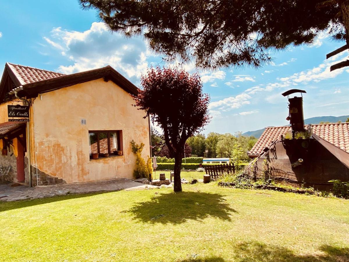 Apartament Els Ocells Camprodon